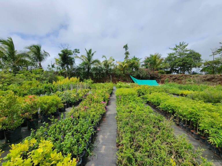 Forest Farm Nursery, gardens in Igatpuri, The Grand Resort