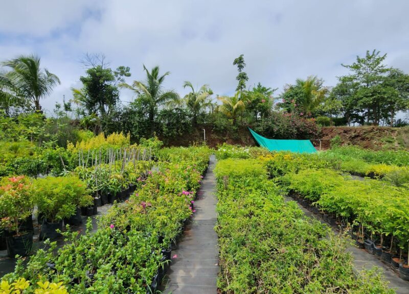 Forest Farm Nursery, gardens in Igatpuri, The Grand Resort