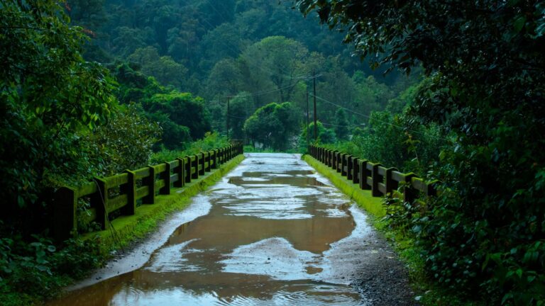 Indulge in Igatpuri’s Monsoon Magic: A Relaxing Weekend at The Grand Gardens Resort, Igatpuri