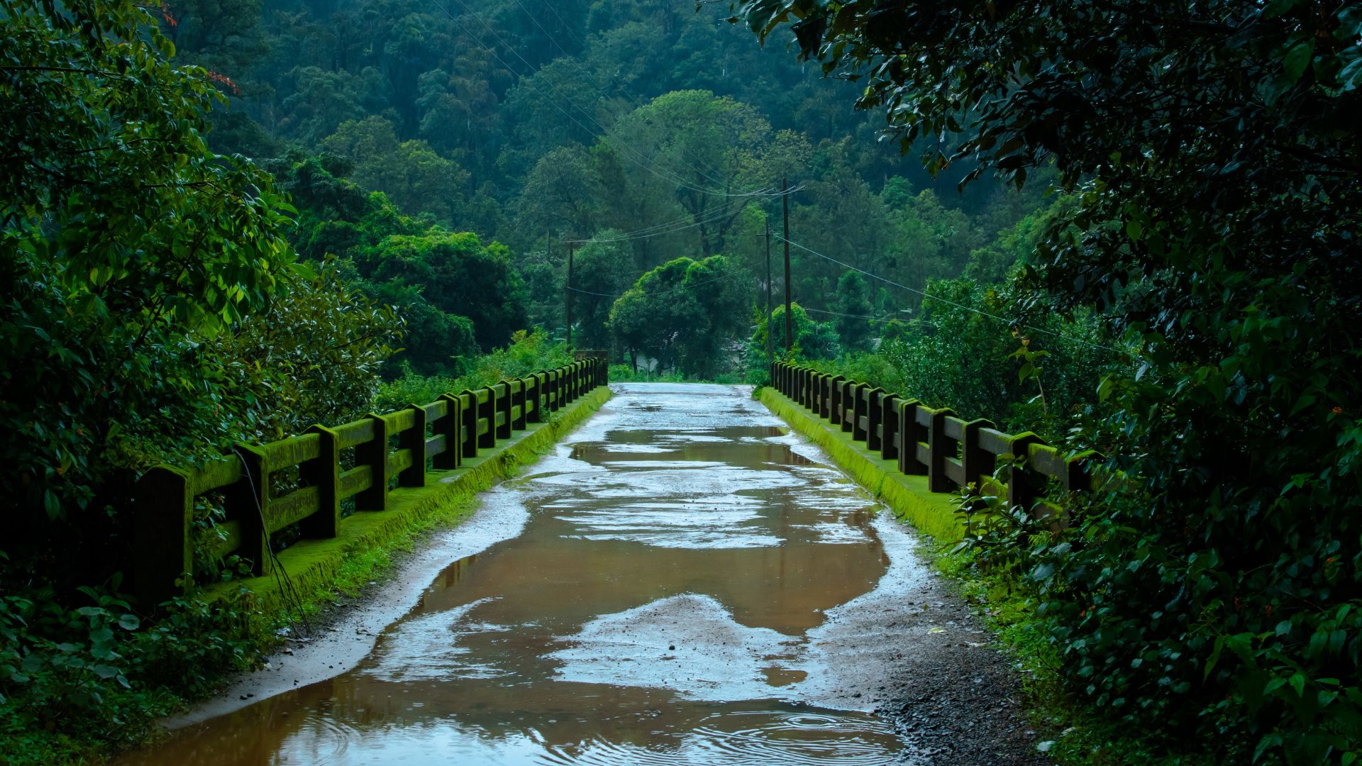 Indulge in Igatpuri’s Monsoon Magic: A Relaxing Weekend at The Grand Gardens Resort, Igatpuri