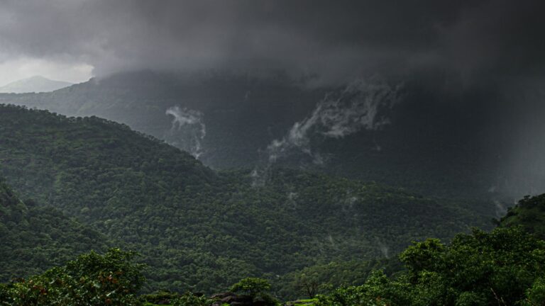 Igatpuri: Monsoon Family Fun with Waterfalls & Nature