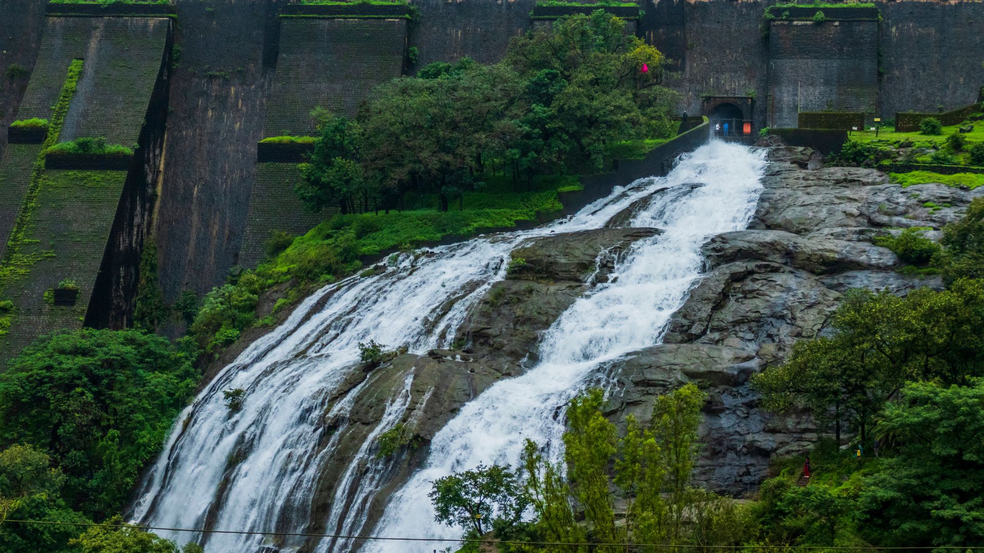 Bhandardara vs. Igatpuri: A Tale of Two Waterfalls