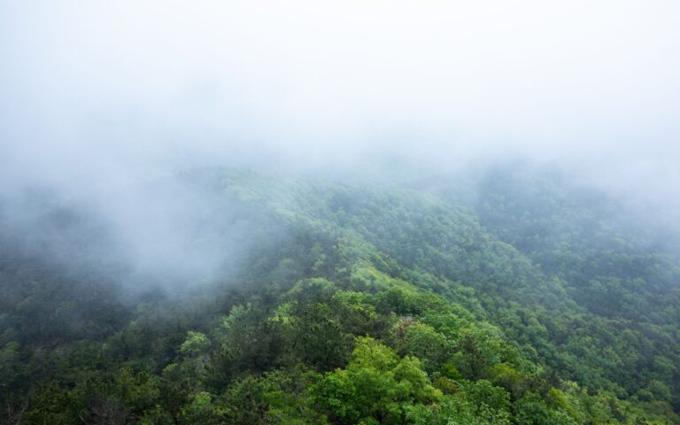 Igatpuri Calling: Your Weekend Escape from Mumbai this Winter