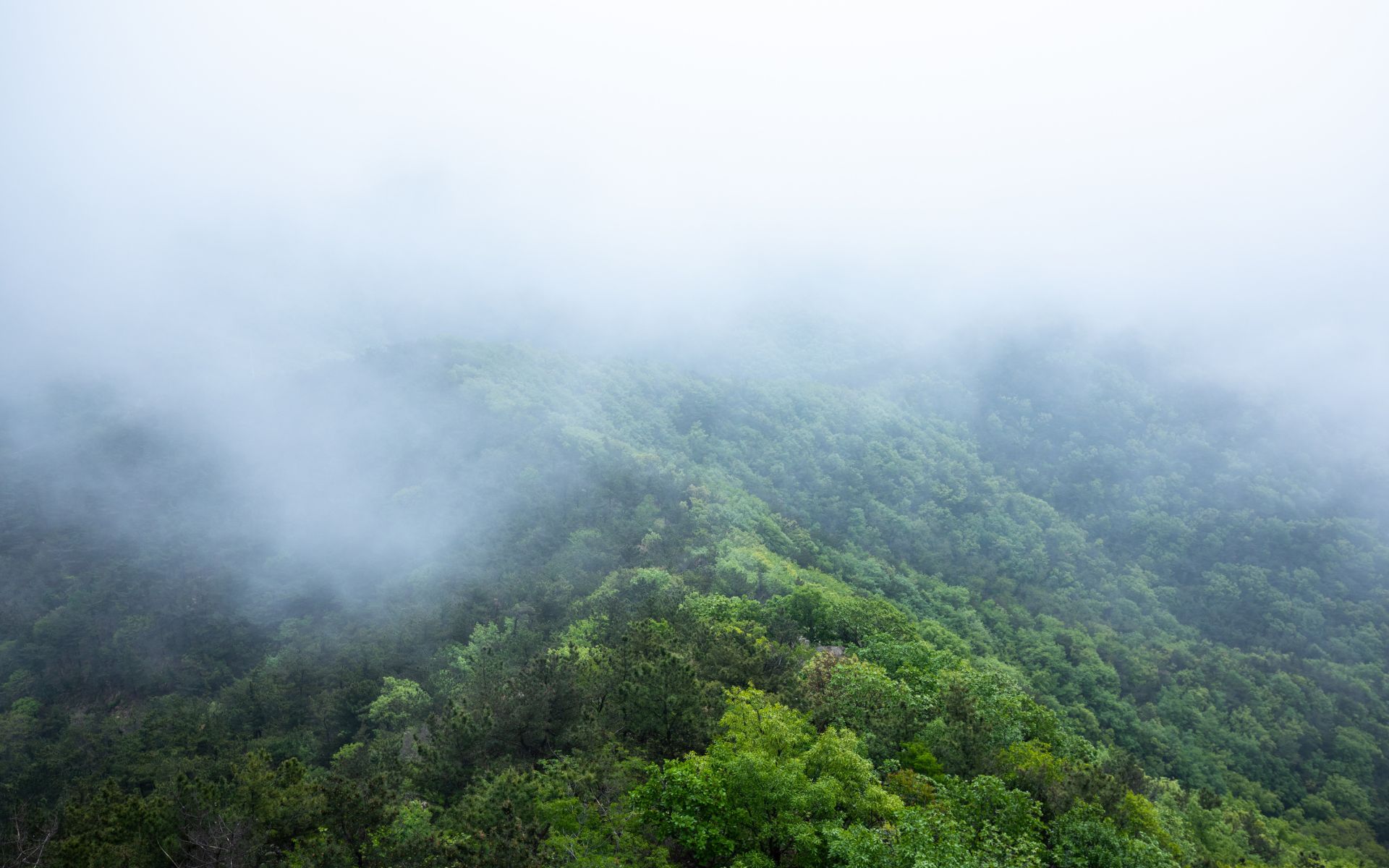 Igatpuri Calling: Your Weekend Escape from Mumbai this Winter