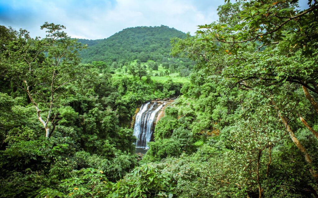 Ashoka (Vihigaon) Waterfall
