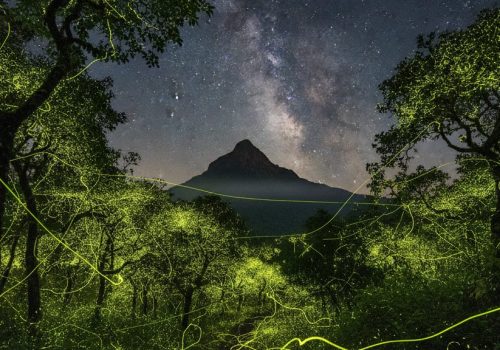 Igatpuri Fireflies Festival